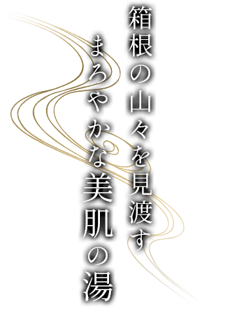 箱根の山々を見渡すまろやかな美肌の湯